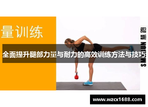 全面提升腿部力量与耐力的高效训练方法与技巧