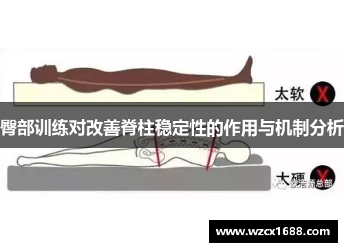 臀部训练对改善脊柱稳定性的作用与机制分析
